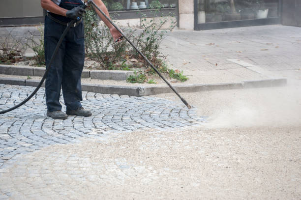 Best Sidewalk and Walkway Cleaning  in Roseland, NJ